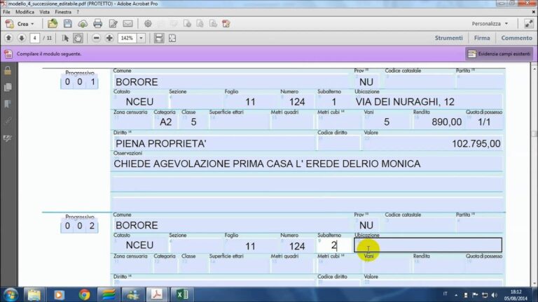 Guida al Modello 4 di Successione Editabile